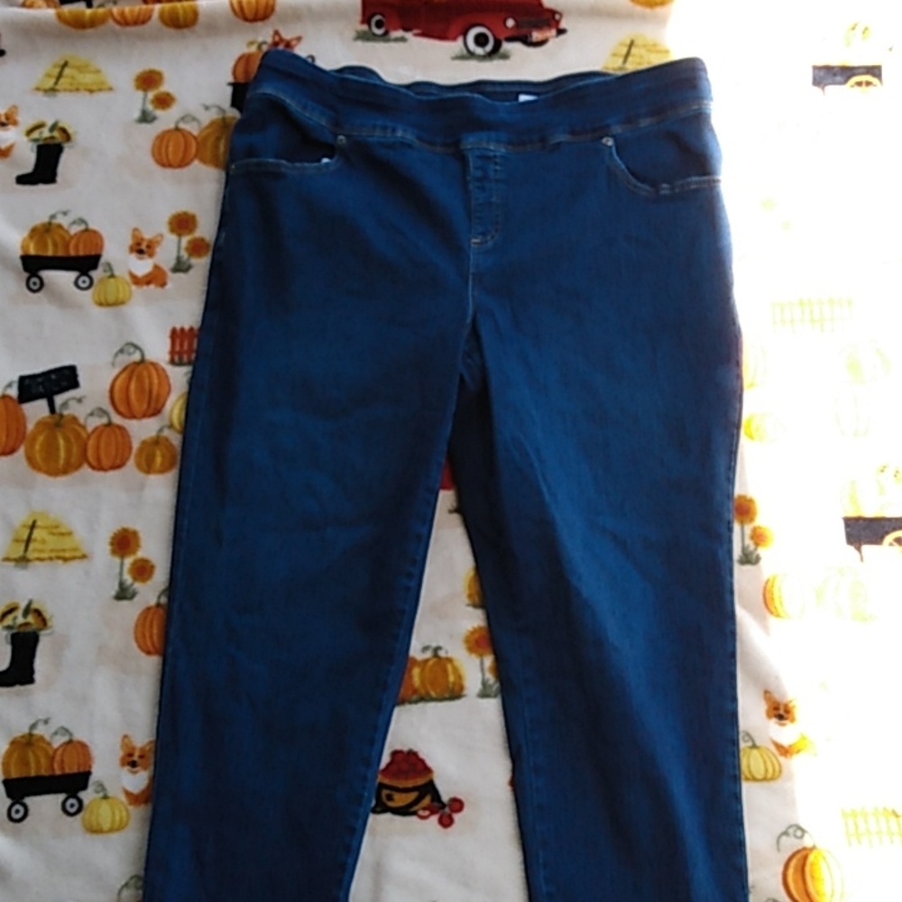 Terra & sky stretch pants leggings
